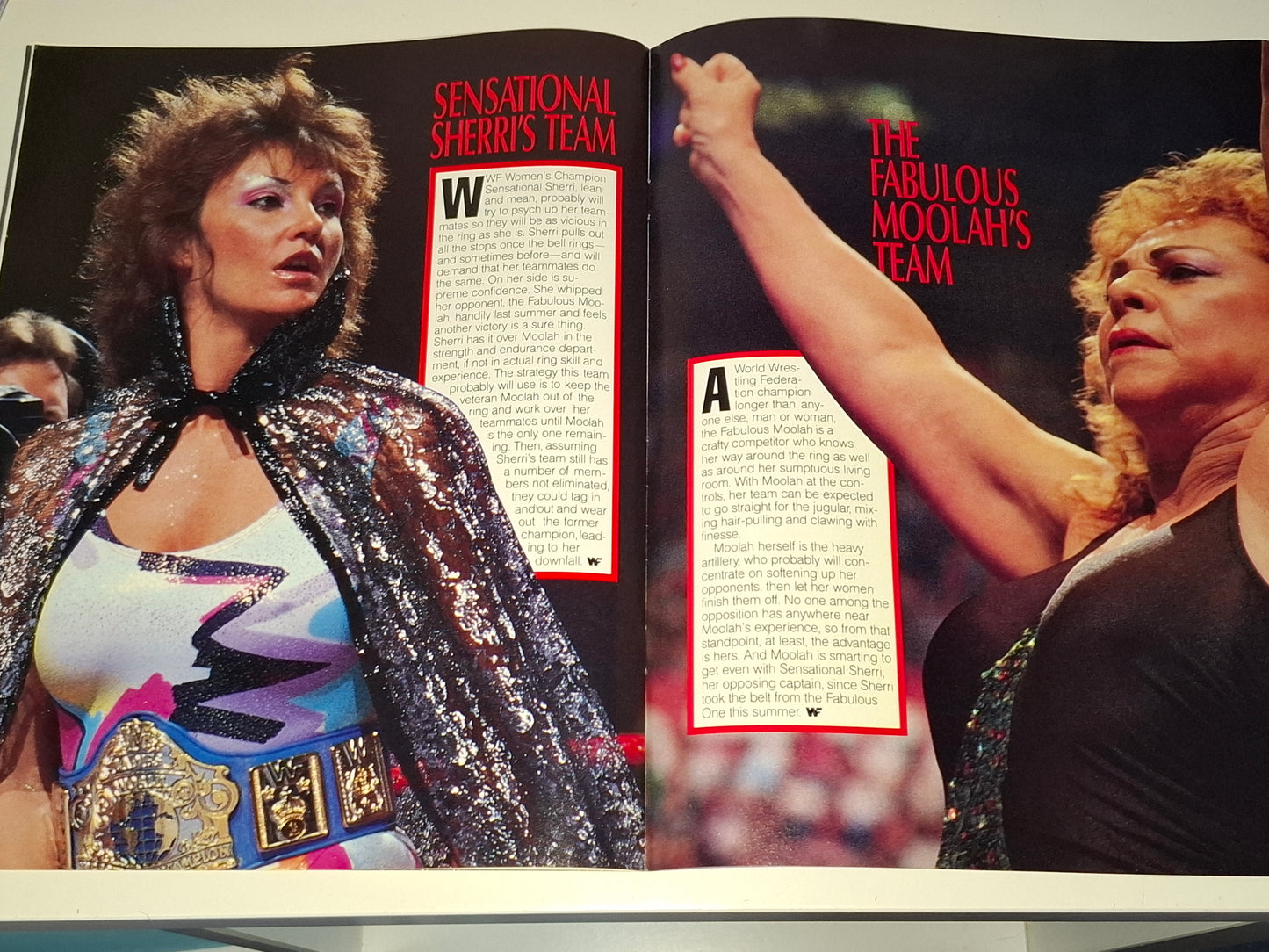 WWF Wrestling - Survivor Series 87 - Official Event Program (1987)