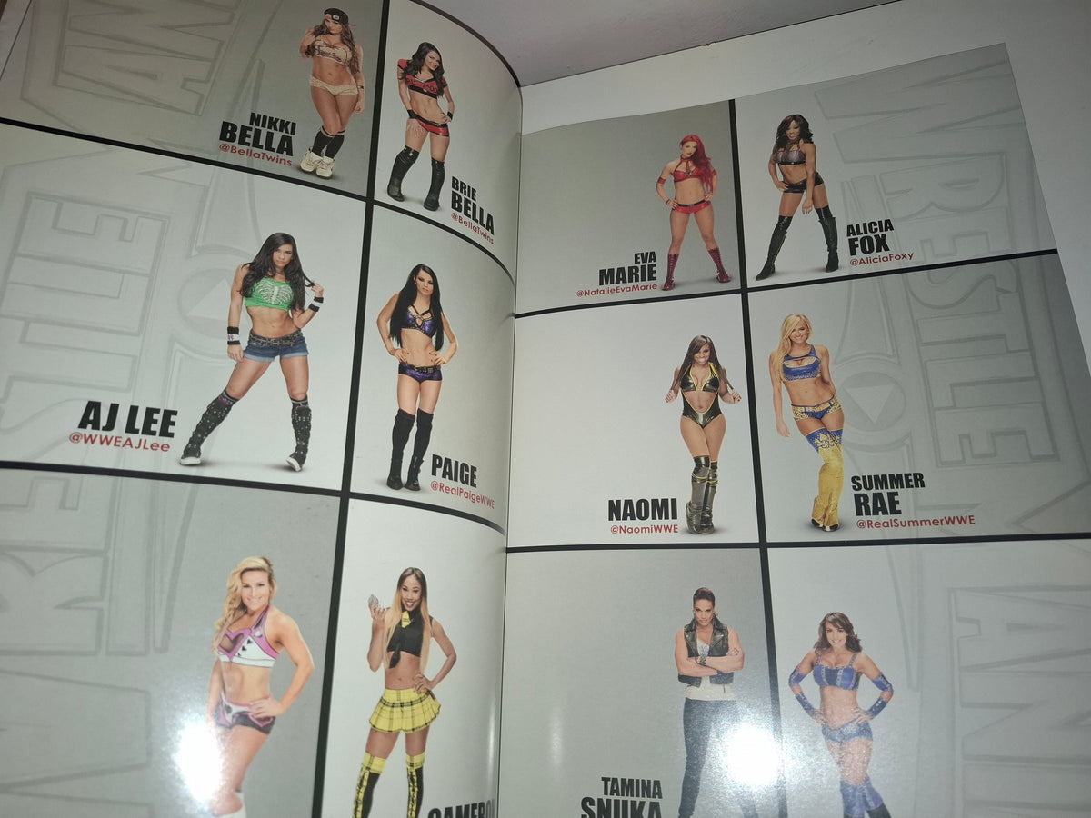 WWF / WWE Wrestling - Wrestlemania 31 - Official Event Program (2015)