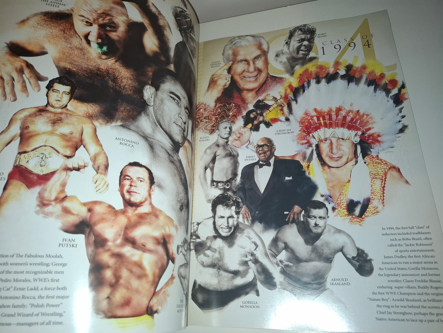 WWF / WWE Wrestling - Wrestlemania 31 - Official Event Program (2015)