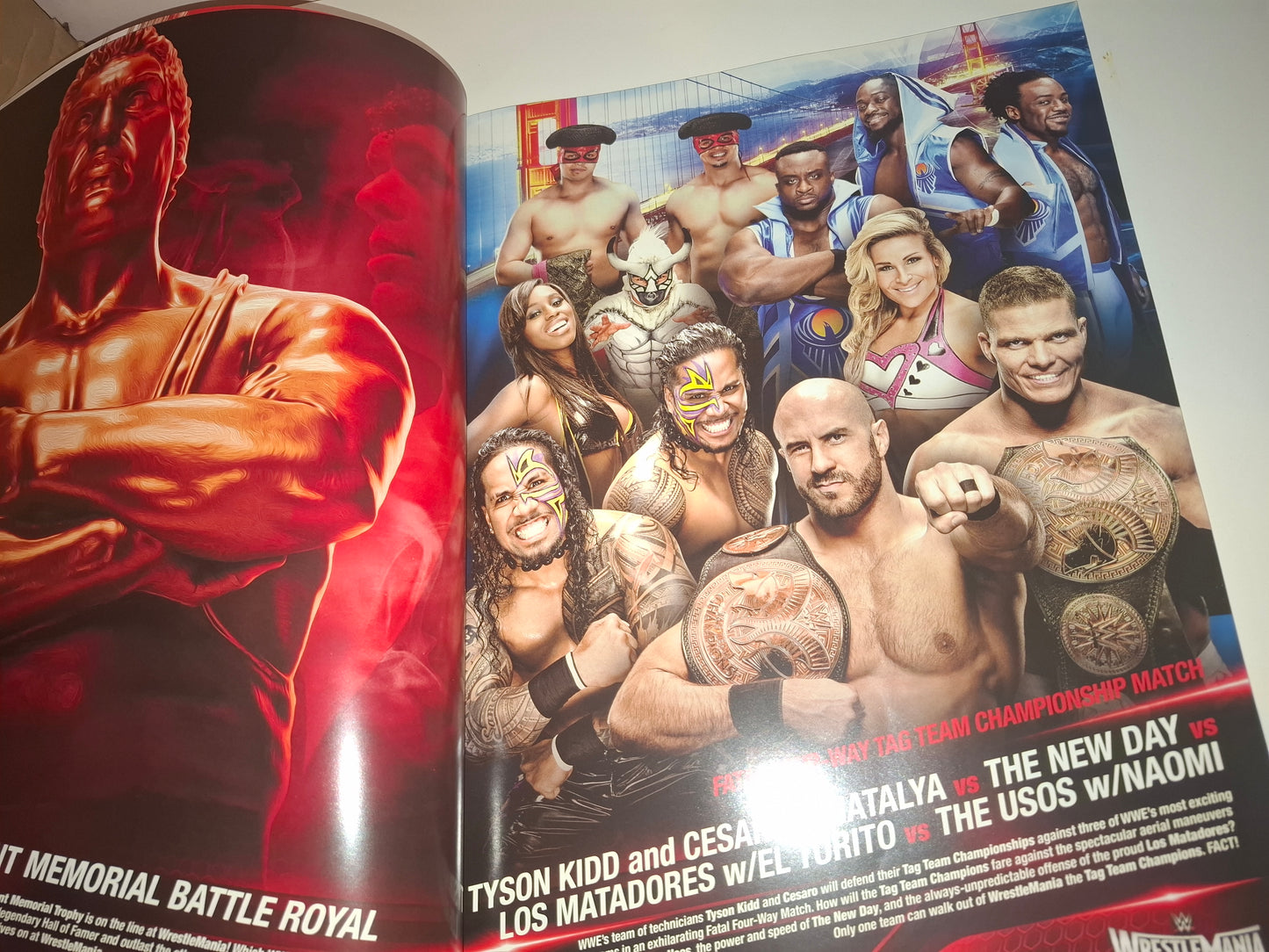 WWF / WWE Wrestling - Wrestlemania 31 - Official Event Program (2015)