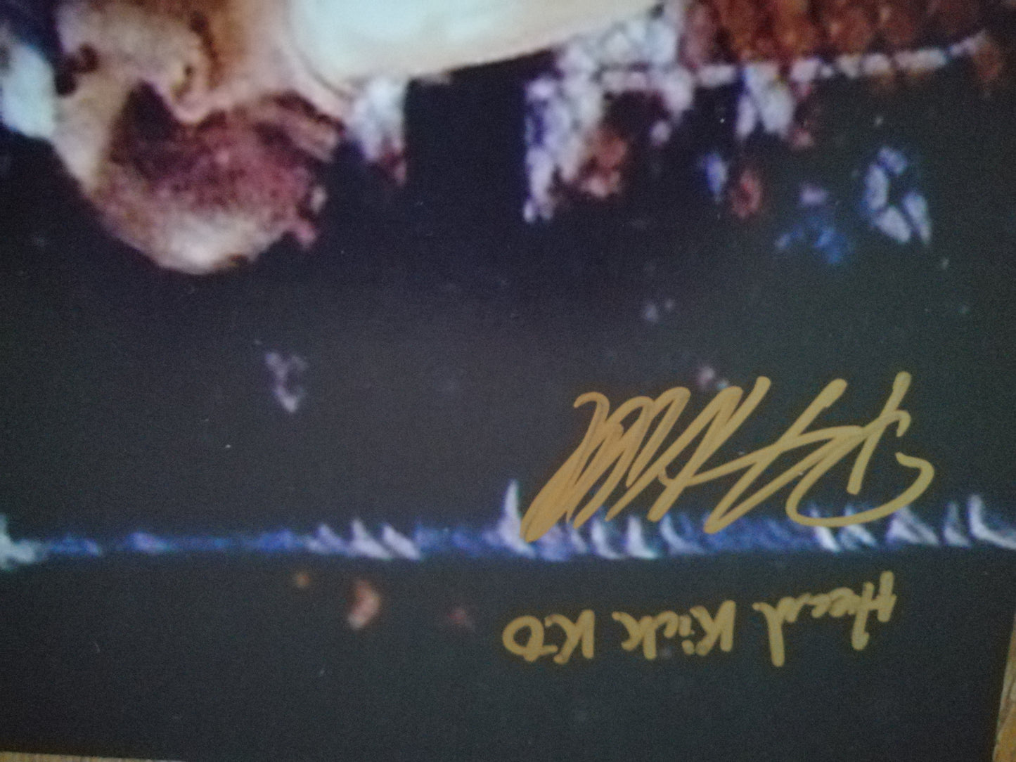 11"x14" Signed Photo - Pete Williams - Head Kick KO [AUTOGRAPHED]